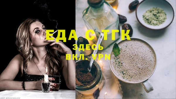 spice Гусев