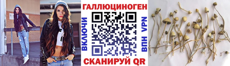 продажа наркотиков  Дмитриев  Псилоцибиновые грибы прущие грибы 